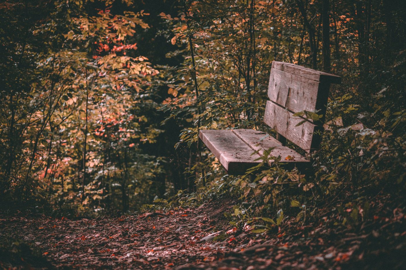 DSB